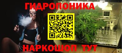 дживик Вязьма
